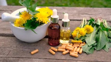 Karahindiba özü ve homeopatik takviyeler. Seçici odaklanma. Doğa.
