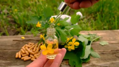 Şifalı bitkisel selandin özü ve diyet takviyeleri. Seçici odaklanma. Doğa.