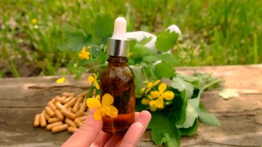 Şifalı bitkisel selandin özü ve diyet takviyeleri. Seçici odaklanma. Doğa.