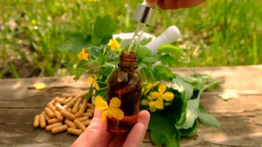 Şifalı bitkisel selandin özü ve diyet takviyeleri. Seçici odaklanma. Doğa.