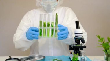 Laboratuvardaki bitkilerin araştırması. Seçici odaklanma. Doğa.