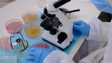 Laboratuvardaki petri kabındaki bakterileri inceleyin. Seçici odaklanma. Doğa.