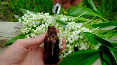 Vadi Zambağı bir şişede özütüyor. Seçici odaklanma. Doğa.