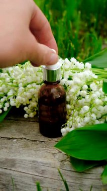 Vadi Zambağı bir şişede özütüyor. Seçici odaklanma. Doğa.