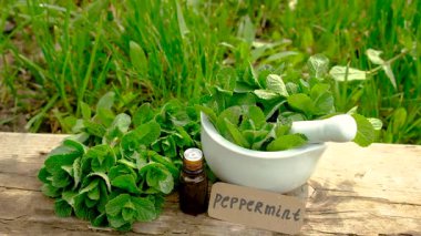 Nane özü, temel yağ ve takviyeler. Seçici odaklanma. Doğa.