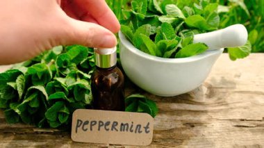 Nane özü, temel yağ ve takviyeler. Seçici odaklanma. Doğa.