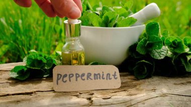 Nane özü, temel yağ ve takviyeler. Seçici odaklanma. Doğa.