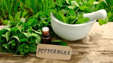 Nane özü, temel yağ ve takviyeler. Seçici odaklanma. Doğa.