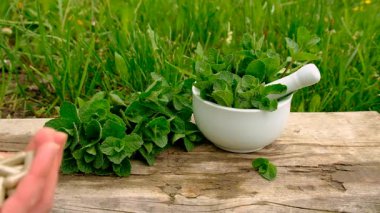 Nane özü, temel yağ ve takviyeler. Seçici odaklanma. Doğa.