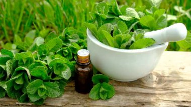 Nane özü, temel yağ ve takviyeler. Seçici odaklanma. Doğa.