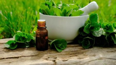 Nane özü, temel yağ ve takviyeler. Seçici odaklanma. Doğa.