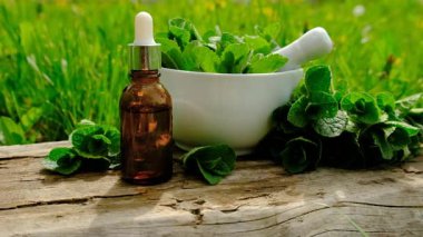 Nane özü, temel yağ ve takviyeler. Seçici odaklanma. Doğa.