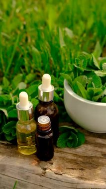 Nane özü, temel yağ ve takviyeler. Seçici odaklanma. Doğa.