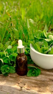 Nane özü, temel yağ ve takviyeler. Seçici odaklanma. Doğa.