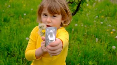 Çocuğun karahindibaya alerjisi var. Seçici odaklanma. Çocuk.