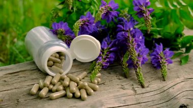 Azgın keçi ağacı alternatif ilaç çıkartır. Seçici Odaklanma. Doğa.