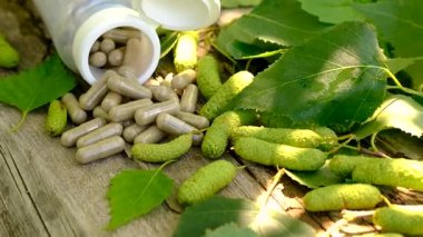 Huş ağacı tomurcukları özütü ve takviyeler. Seçici odaklanma. Doğa.