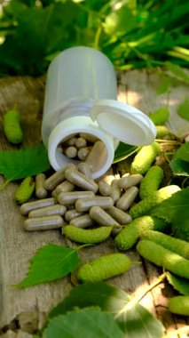 Huş ağacı tomurcukları özütü ve takviyeler. Seçici odaklanma. Doğa.