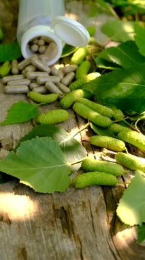 Huş ağacı tomurcukları özütü ve takviyeler. Seçici odaklanma. Doğa.