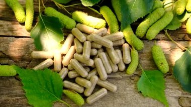 Huş ağacı tomurcukları özütü ve takviyeler. Seçici odaklanma. Doğa.