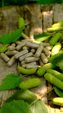 Huş ağacı tomurcukları özütü ve takviyeler. Seçici odaklanma. Doğa.