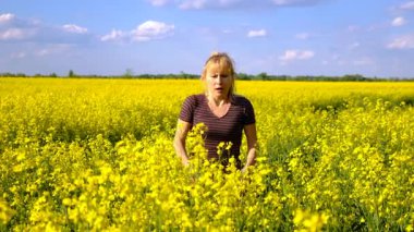 Sarı tarla çiçekleri alerjisi. Seçici odaklanma. Doğa.