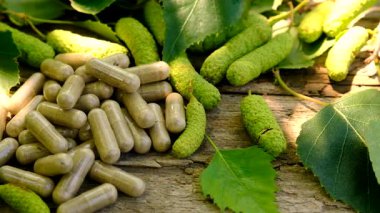 Huş ağacı tomurcukları özütü ve takviyeler. Seçici odaklanma. Doğa.