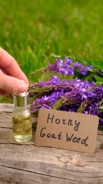 Azgın keçi ağacı alternatif ilaç çıkartır. Seçici Odaklanma. Doğa.