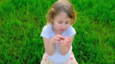 Uğur böceğiyle oynayan çocuk. Seçici odaklanma. Çocuk.