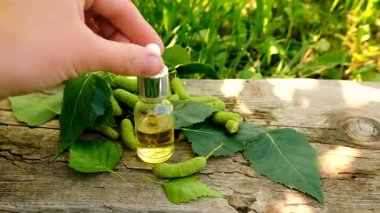 Huş ağacı tomurcukları özütü ve takviyeler. Seçici odaklanma. Doğa.