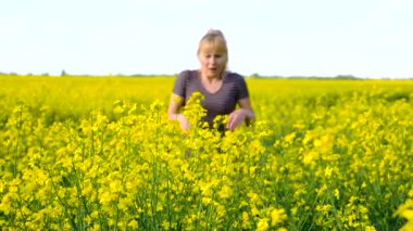 Sarı tarla çiçekleri alerjisi. Seçici odaklanma. Doğa.