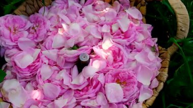 Şişede gül yağı var. Seçici odaklanma. Spa.