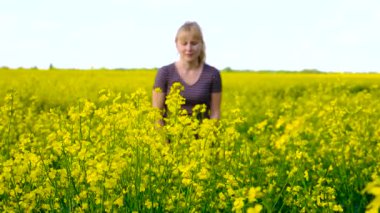 Sarı tarla çiçekleri alerjisi. Seçici odaklanma. Doğa.