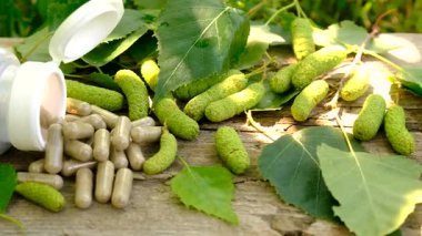 Huş ağacı tomurcukları özütü ve takviyeler. Seçici odaklanma. Doğa.