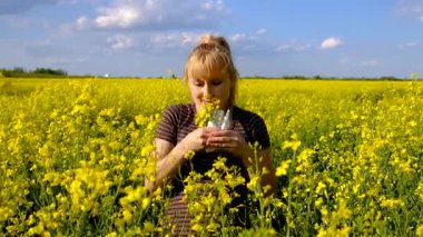 Sarı tarla çiçekleri alerjisi. Seçici odaklanma. Doğa.