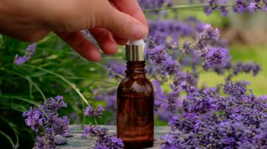 Şişedeki lavanta yağı. Seçici odaklanma. Doğa.