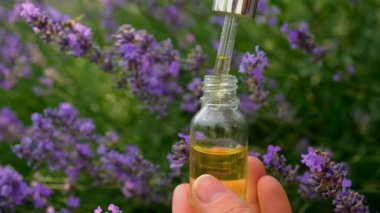 Şişedeki lavanta yağı. Seçici odaklanma. Doğa.