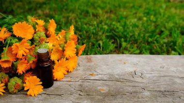 Calendula tentürü ve takviyeler. Seçici odaklanma. Doğa.