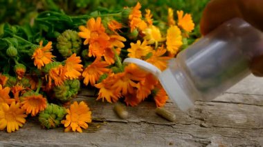 Calendula tentürü ve takviyeler. Seçici odaklanma. Doğa.