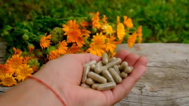 Calendula tentürü ve takviyeler. Seçici odaklanma. Doğa.