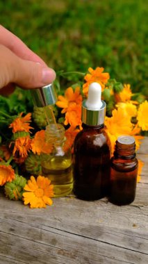 Calendula tentürü ve takviyeler. Seçici odaklanma. Doğa.