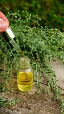 Çalı çırpı tentürü ve takviyeler. Seçici odaklanma. Doğa.