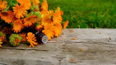 Calendula tentürü ve takviyeler. Seçici odaklanma. Doğa.