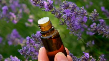 Şişedeki lavanta yağı. Seçici odaklanma. Doğa.