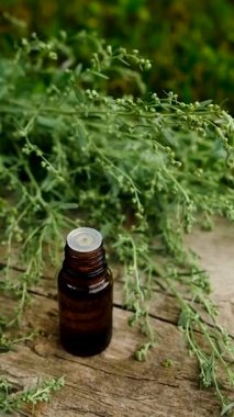 Çalı çırpı tentürü ve takviyeler. Seçici odaklanma. Doğa.