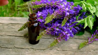 Azgın keçi ağacı alternatif ilaç çıkartır. Seçici Odaklanma. Doğa.