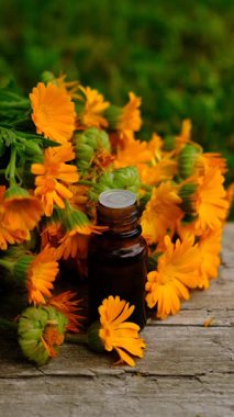 Calendula tentürü ve takviyeler. Seçici odaklanma. Doğa.