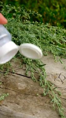 Çalı çırpı tentürü ve takviyeler. Seçici odaklanma. Doğa.