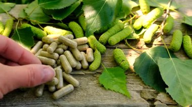 Huş ağacı tomurcukları özütü ve takviyeler. Seçici odaklanma. Doğa.