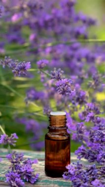 Şişedeki lavanta yağı. Seçici odaklanma. Doğa.